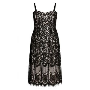 City Chic Sweetie Darling Dress